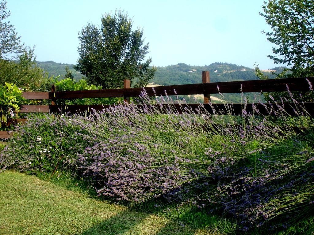 Cascina Ciosse B&B Grognardo 객실 사진